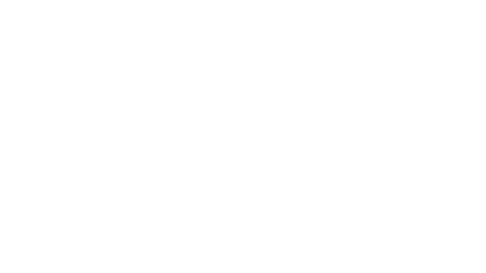 Kung Fu Panda